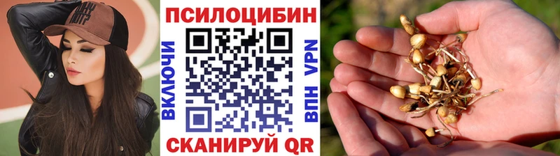 Псилоцибиновые грибы Psilocybine cubensis  Называевск 