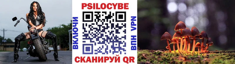 Псилоцибиновые грибы мицелий Называевск